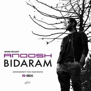 دانلود آهنگ جدید انوش به نام بیدارم Anoosh Bidaram