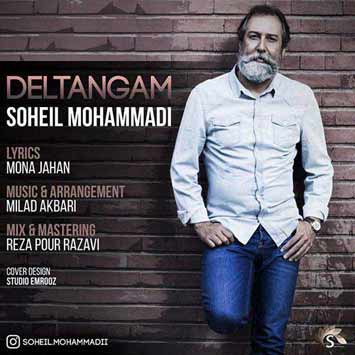 Soheil Mohammadi Deltangam - دانلود آهنگ جدید سهیل محمدی به نام دلتنگم