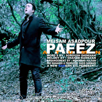 Meisam-Asadpour-Paeez