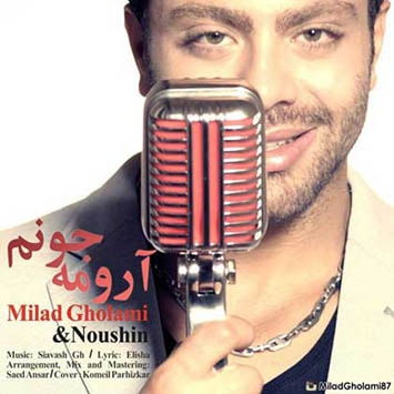 Milad-Gholami_Aroome-Jonam-min