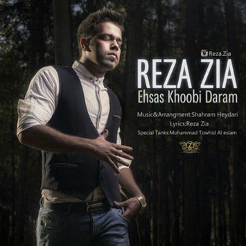 Reza-Zia-Ehsase-Khoobi-Daram