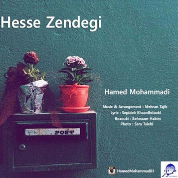 Hamed-Mohammadi-Called-Hesse-Zendegi