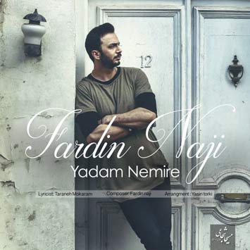 Fardin-Naji-Called-Yadam-Nemire