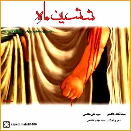 دانلود آهنگ سید مهدی هاشمی و سید علی هاشمی ششمین ماه